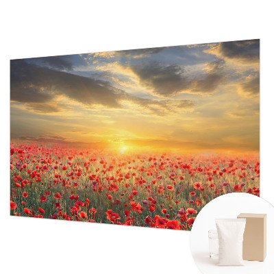 Vlies-Fototapete fürs Schlafzimmer mit Motiv eines Mohnfelds