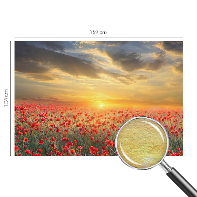 Vlies-Fototapete fürs Schlafzimmer Mohnfeld