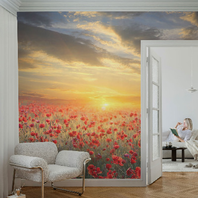 Vlies-Fototapete fürs Schlafzimmer mit Motiv eines Mohnfelds