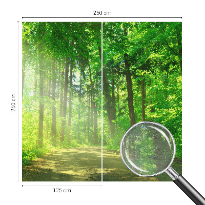 Vlies-Fototapete fürs Kinderzimmer Waldweg