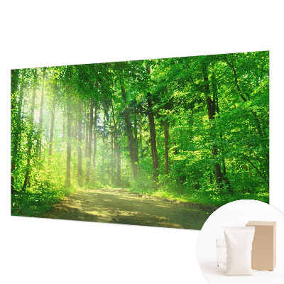 Vlies-Fototapete fürs Kinderzimmer Waldweg