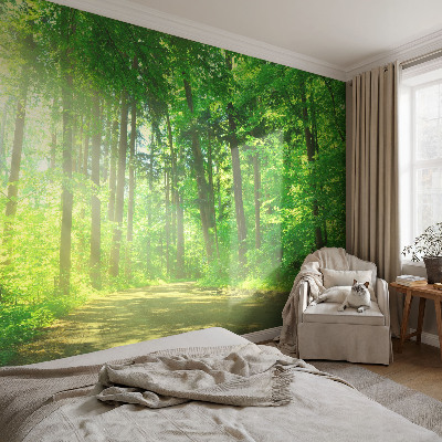 Vlies-Fototapete fürs Kinderzimmer mit einem Motiv eines Waldwegs