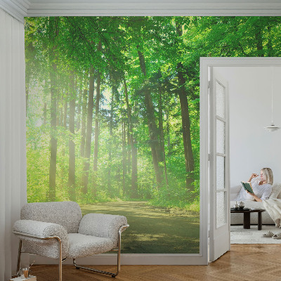 Vlies-Fototapete fürs Kinderzimmer mit einem Motiv eines Waldwegs