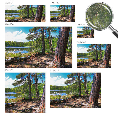 Bildtapete Waldlandschaft