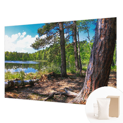 Bildtapete Waldlandschaft