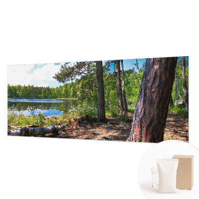 Bildtapete Waldlandschaft