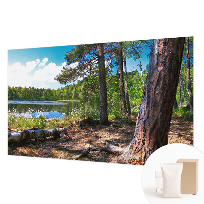 Bildtapete Waldlandschaft