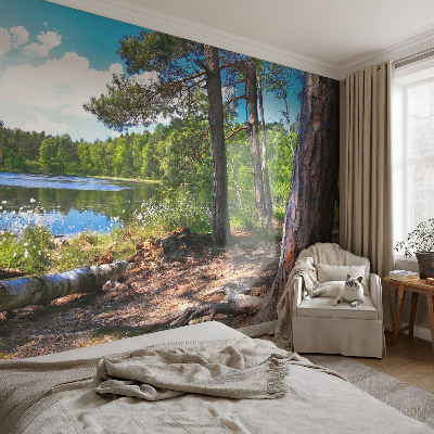 Bildtapete mit einer Waldlandschaft