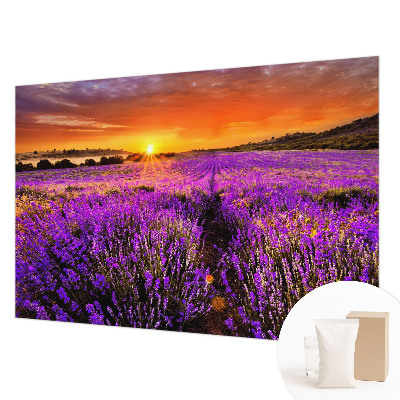 Vlies-Fototapete fürs Wohnzimmer mit Motiv eines Lavendel-Sonnenuntergangs