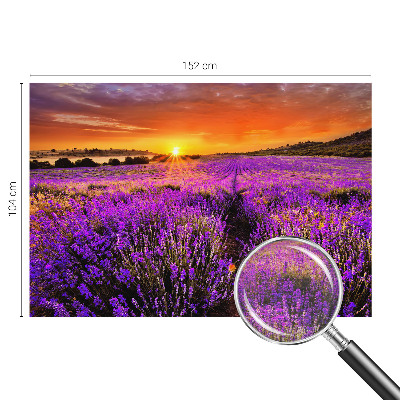 Vlies-Fototapete fürs Wohnzimmer mit Motiv eines Lavendel-Sonnenuntergangs