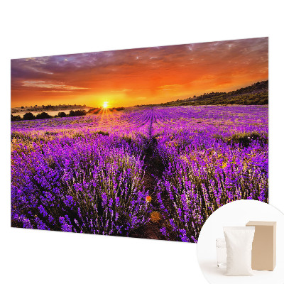 Vlies-Fototapete fürs Wohnzimmer mit Motiv eines Lavendel-Sonnenuntergangs