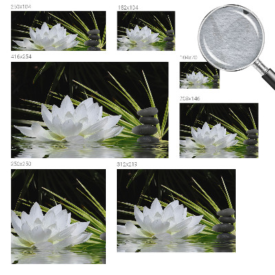 Vlies-Fototapete nach Maß mit Motiv „Lilienmeditation“