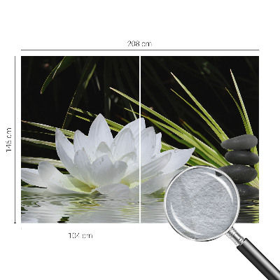 Vlies-Fototapete nach Maß mit Motiv „Lilienmeditation“