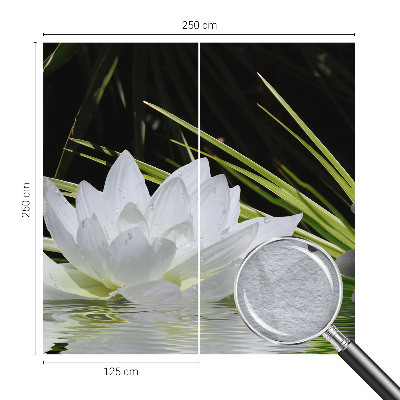 Vlies-Fototapete nach Maß mit Motiv „Lilienmeditation“