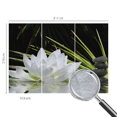 Vlies-Fototapete nach Maß mit Motiv „Lilienmeditation“