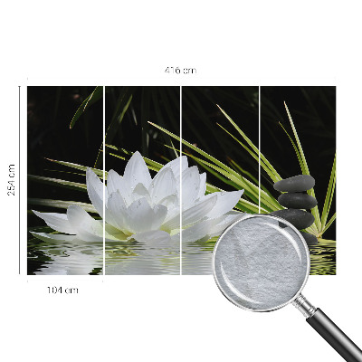 Vlies-Fototapete nach Maß mit Motiv „Lilienmeditation“