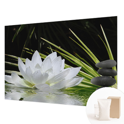 Vlies-Fototapete nach Maß mit Motiv „Lilienmeditation“