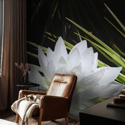 Vlies-Fototapete nach Maß mit Motiv „Lilienmeditation“