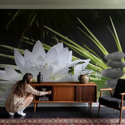 Vlies-Fototapete nach Maß mit Motiv „Lilienmeditation“