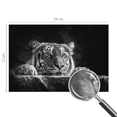 Motivtapete Raubtierblick