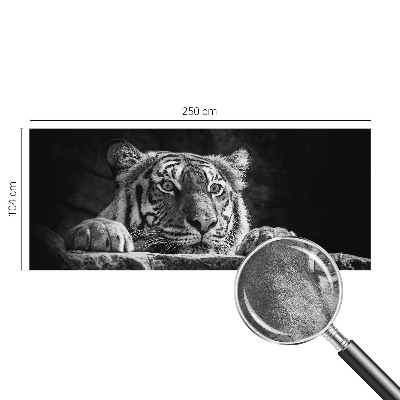 Motivtapete Raubtierblick