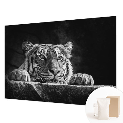 Motivtapete Raubtierblick