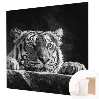 Motivtapete Raubtierblick