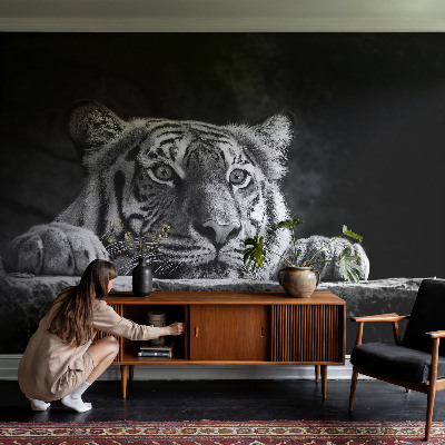 Motivtapete Raubtierblick