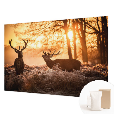 Fototapete nach Maß mit dem Motiv „Rehe am Morgen“