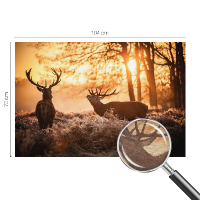 Fototapete nach Maß mit dem Motiv „Rehe am Morgen“