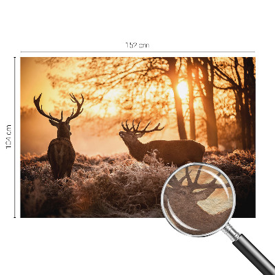 Fototapete nach Maß mit dem Motiv „Rehe am Morgen“