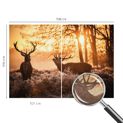 Fototapete nach Maß mit dem Motiv „Rehe am Morgen“