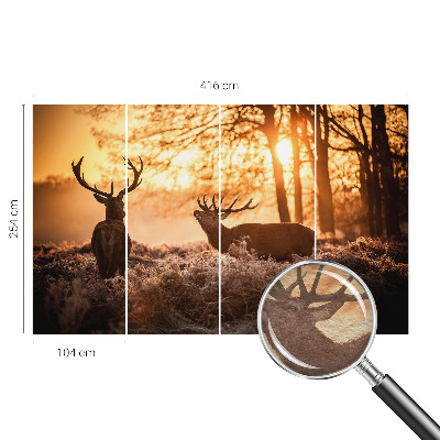 Fototapete nach Maß mit dem Motiv „Rehe am Morgen“
