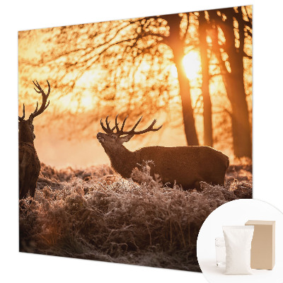 Fototapete nach Maß Rehe am Morgen