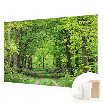 Moderne Vlies-Fototapete Waldweg