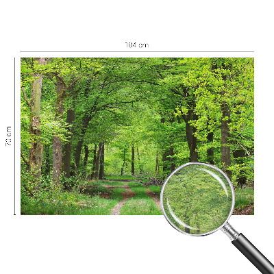 Moderne Vlies-Fototapete mit Motiv eines Waldwegs