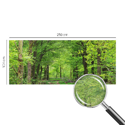 Moderne Vlies-Fototapete mit Motiv eines Waldwegs