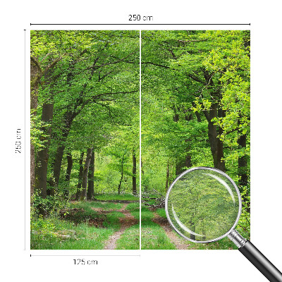 Moderne Vlies-Fototapete mit Motiv eines Waldwegs