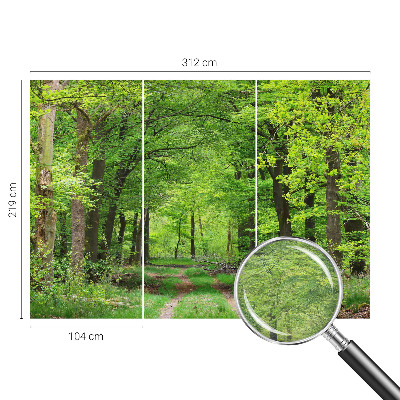 Moderne Vlies-Fototapete mit Motiv eines Waldwegs