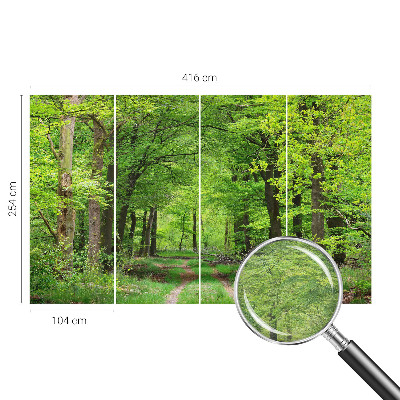 Moderne Vlies-Fototapete mit Motiv eines Waldwegs