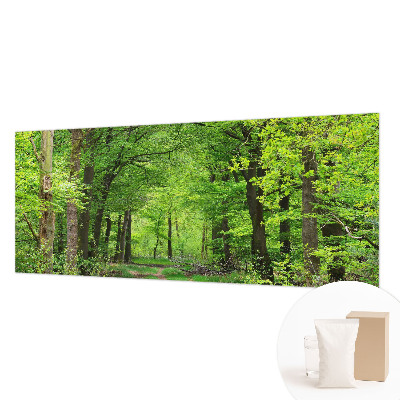 Moderne Vlies-Fototapete Waldweg