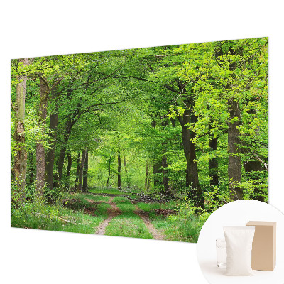 Moderne Vlies-Fototapete mit Motiv eines Waldwegs