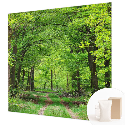 Moderne Vlies-Fototapete Waldweg