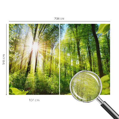 Motivtapete mit Waldlicht-Motiv