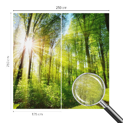 Motivtapete mit Waldlicht-Motiv