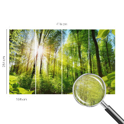 Motivtapete mit Waldlicht-Motiv