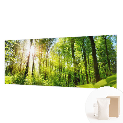 Motivtapete mit Waldlicht-Motiv