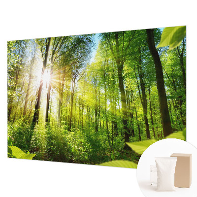 Motivtapete mit Waldlicht-Motiv