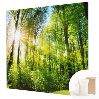 Motivtapete mit Waldlicht-Motiv