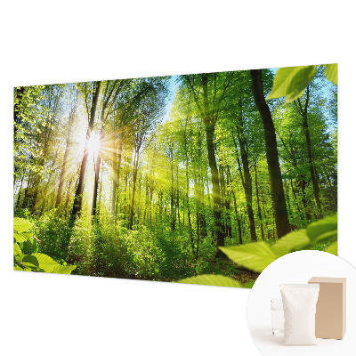 Motivtapete mit Waldlicht-Motiv